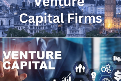 The Architecture of Opportunity: Understanding Venture Capital and the High-Stakes Frontier
