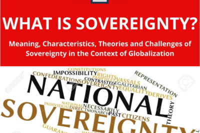 The Architecture of Sovereignty: Understanding the Shift from “Net Worth” to “Cash Flow”