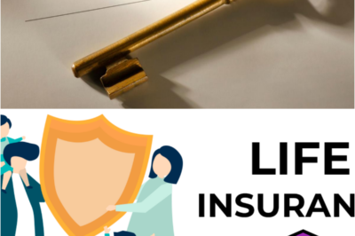 The Wisdom of the Safety Net: Deciphering the True Value of Life Insurance